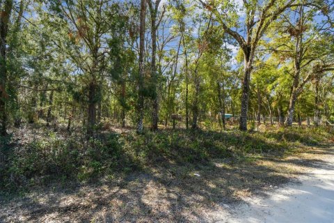 Land in Dade City, Florida № 1520011 - photo 25