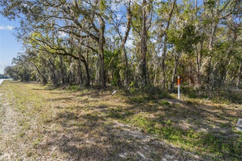 Land in Dade City, Florida № 1520011 - photo 30