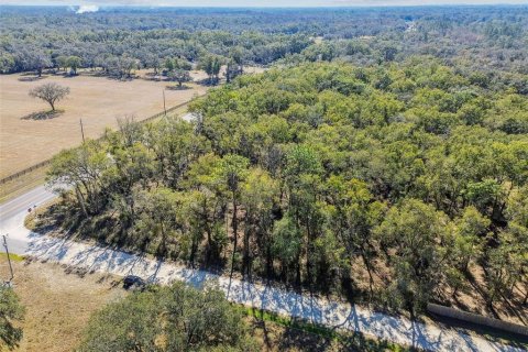 Land in Dade City, Florida № 1520011 - photo 2