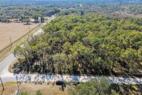 Land in Dade City, Florida № 1520011 - photo 1