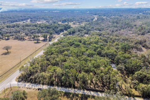 Land in Dade City, Florida № 1520011 - photo 13