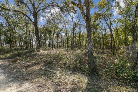 Land in Dade City, Florida № 1520011 - photo 23