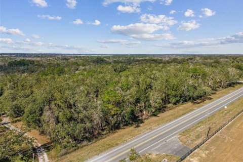 Land in Dade City, Florida № 1520011 - photo 20