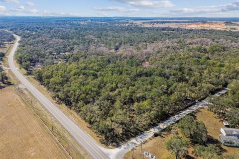 Land in Dade City, Florida № 1520011 - photo 11