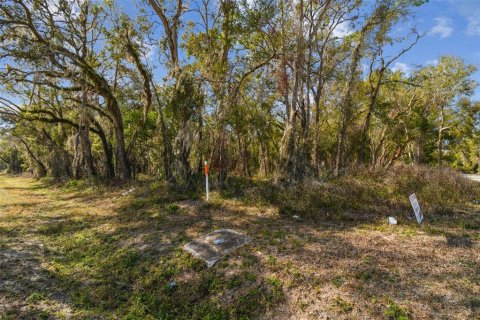 Land in Dade City, Florida № 1520011 - photo 29