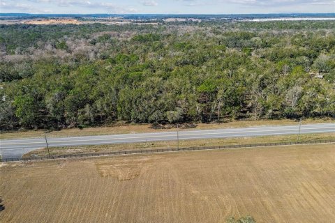 Land in Dade City, Florida № 1520011 - photo 8