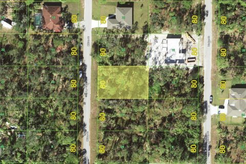 Land in Port Charlotte, Florida № 2239910