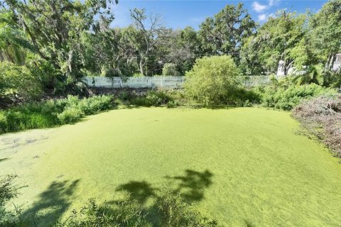 Land in Plant City, Florida № 1789812 - photo 24