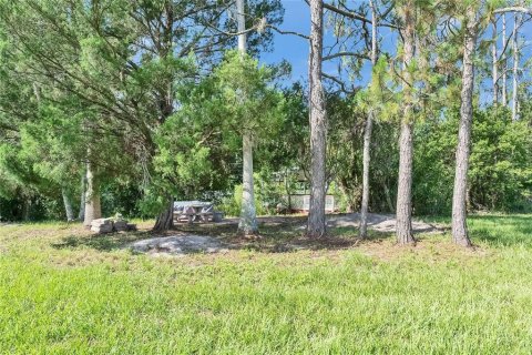 Land in Plant City, Florida № 1789812 - photo 13
