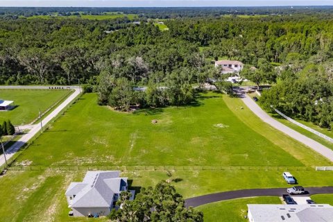 Land in Plant City, Florida № 1789812 - photo 12