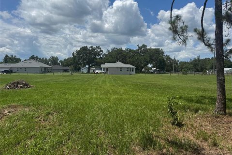 Land in Plant City, Florida № 1789812 - photo 1