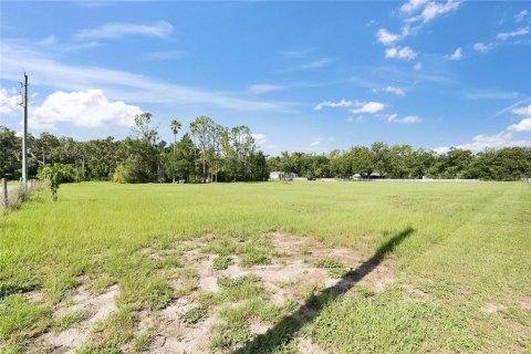 Land in Plant City, Florida № 1789812 - photo 11
