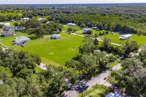 Land in Plant City, Florida № 1789812 - photo 25