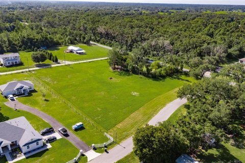 Land in Plant City, Florida № 1789812 - photo 8
