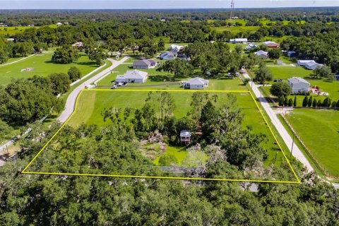 Land in Plant City, Florida № 1789812 - photo 22