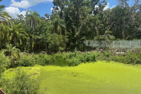 Land in Plant City, Florida № 1789812 - photo 6