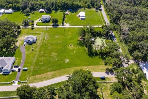 Land in Plant City, Florida № 1789812 - photo 30