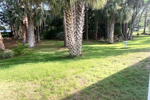 House in Leesburg, Florida 2 bedrooms, 114.46 sq.m. № 1776540 - photo 4