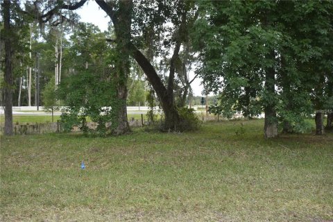 Land in Wildwood, Florida № 2278036