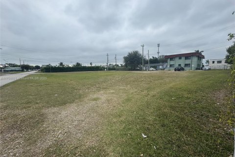 Commercial property in Homestead, Florida № 1860355 - photo 2