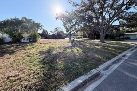 Land in Tampa, Florida № 2239112