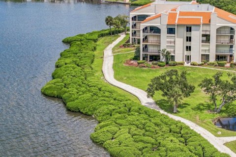 Condo in Tarpon Springs, Florida, 2 bedrooms  № 2347701