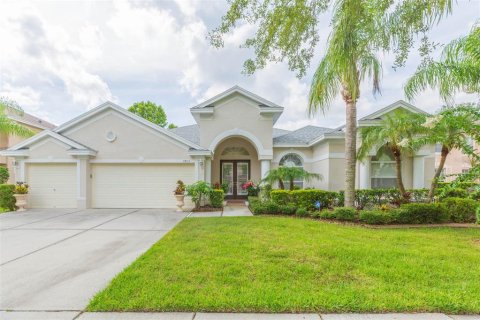 House in Tampa, Florida 4 bedrooms, 275.18 sq.m. № 1828510 - photo 1