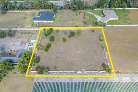 Terreno en Dover, Florida № 2114975