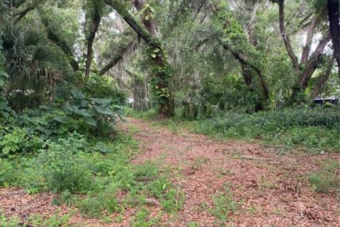 Terreno en venta en Sanford, Florida № 1769795 - foto 1