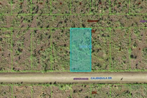 Land in Indian lake estates, Florida № 2161979