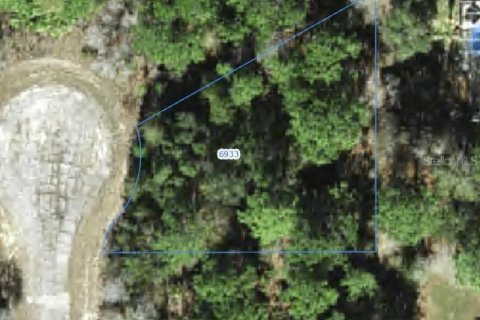 Land in Citrus Springs, Florida № 2388255