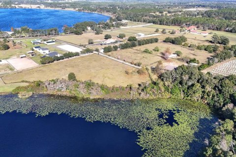 Terrain à vendre à Eustis, Floride № 2232784 - photo 4