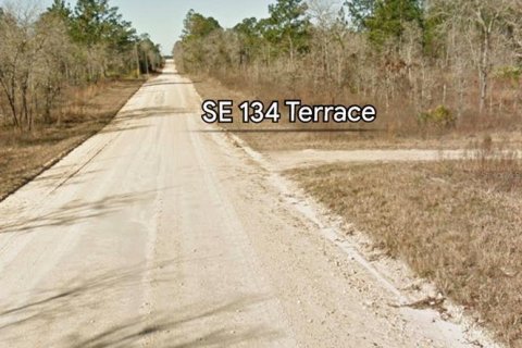 Terrain à vendre à Morriston, Floride № 2388203 - photo 4