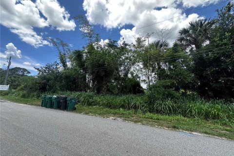Land in Cocoa, Florida № 1781209 - photo 9