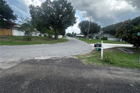 Land in Cocoa, Florida № 1781209 - photo 6