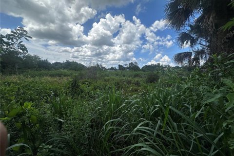 Land in Cocoa, Florida № 1781209 - photo 3