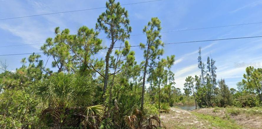 Land in Port Charlotte, Florida № 1843925