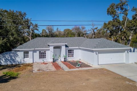Villa ou maison à Spring Hill, Floride 3 chambres, 141.4 m2 № 2279942
