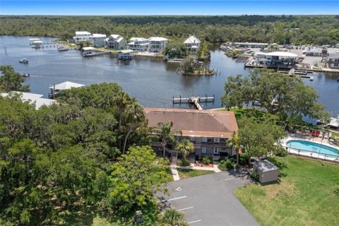 Copropriété à vendre à Homosassa, Floride: 1 chambre № 2405323 - photo 4