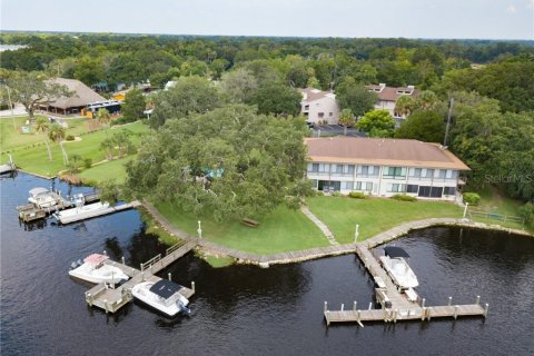 Copropriété à vendre à Homosassa, Floride: 1 chambre № 2405323 - photo 28
