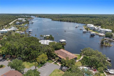 Copropriété à vendre à Homosassa, Floride: 1 chambre № 2405323 - photo 2