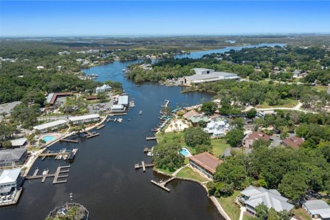Copropriété à vendre à Homosassa, Floride: 1 chambre № 2405323 - photo 7