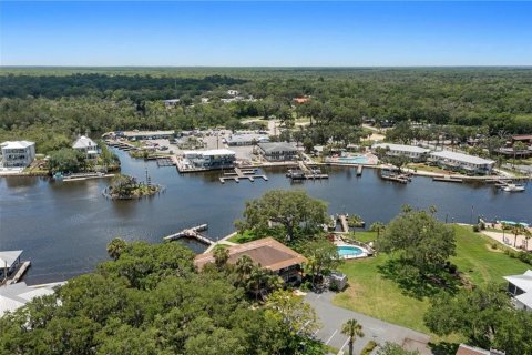 Copropriété à vendre à Homosassa, Floride: 1 chambre № 2405323 - photo 6
