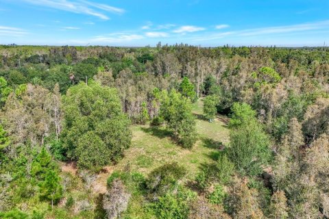 Terrain à vendre à Punta Gorda, Floride № 1793226 - photo 4