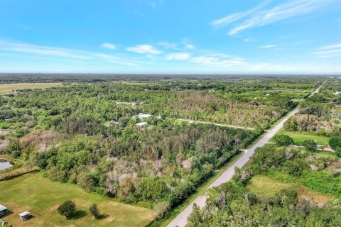 Terrain à vendre à Punta Gorda, Floride № 1793226 - photo 7
