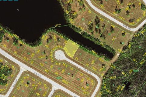 Land in Placida, Florida № 2158951 - photo 2
