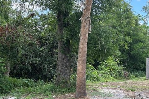 Land in DeLand, Florida № 1733913 - photo 4