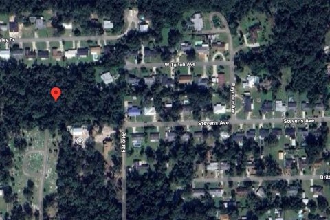 Land in DeLand, Florida № 1733913 - photo 3