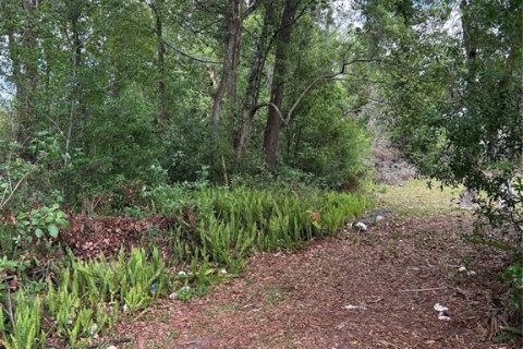 Land in DeLand, Florida № 1733913 - photo 9