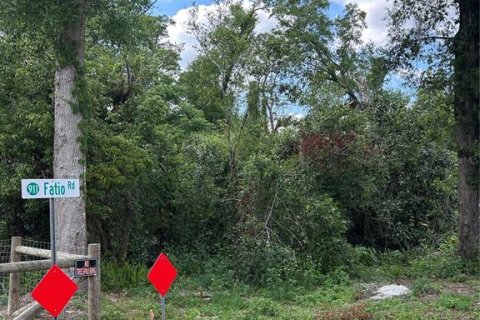 Land in DeLand, Florida № 1733913 - photo 8